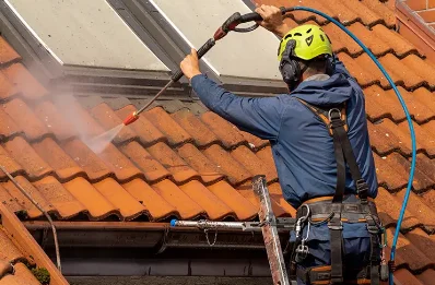 Démoussage et hydrofuge de toiture aux Pins